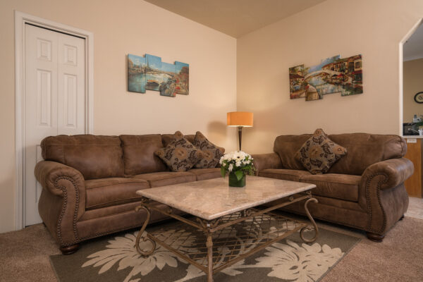 Cozy living room with brown sofas and table