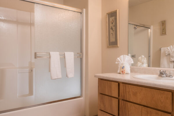 Bathroom with wood vanity, mirror, and shower