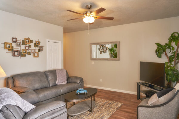 Cozy living room with gray leather sofa
